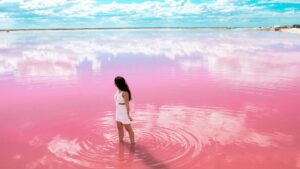 coloradas2